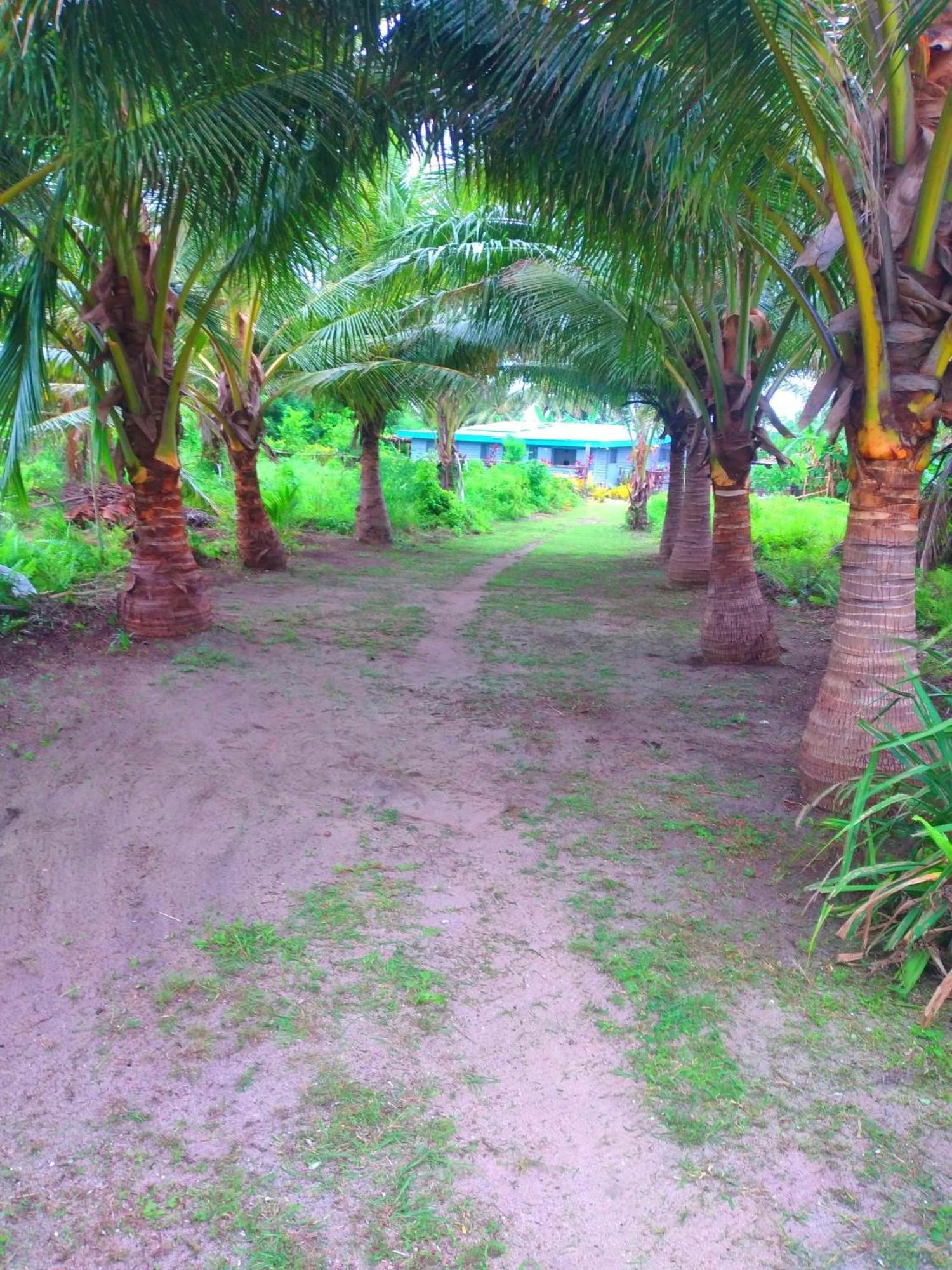 Ravita Cove Homeaway From Homestay *